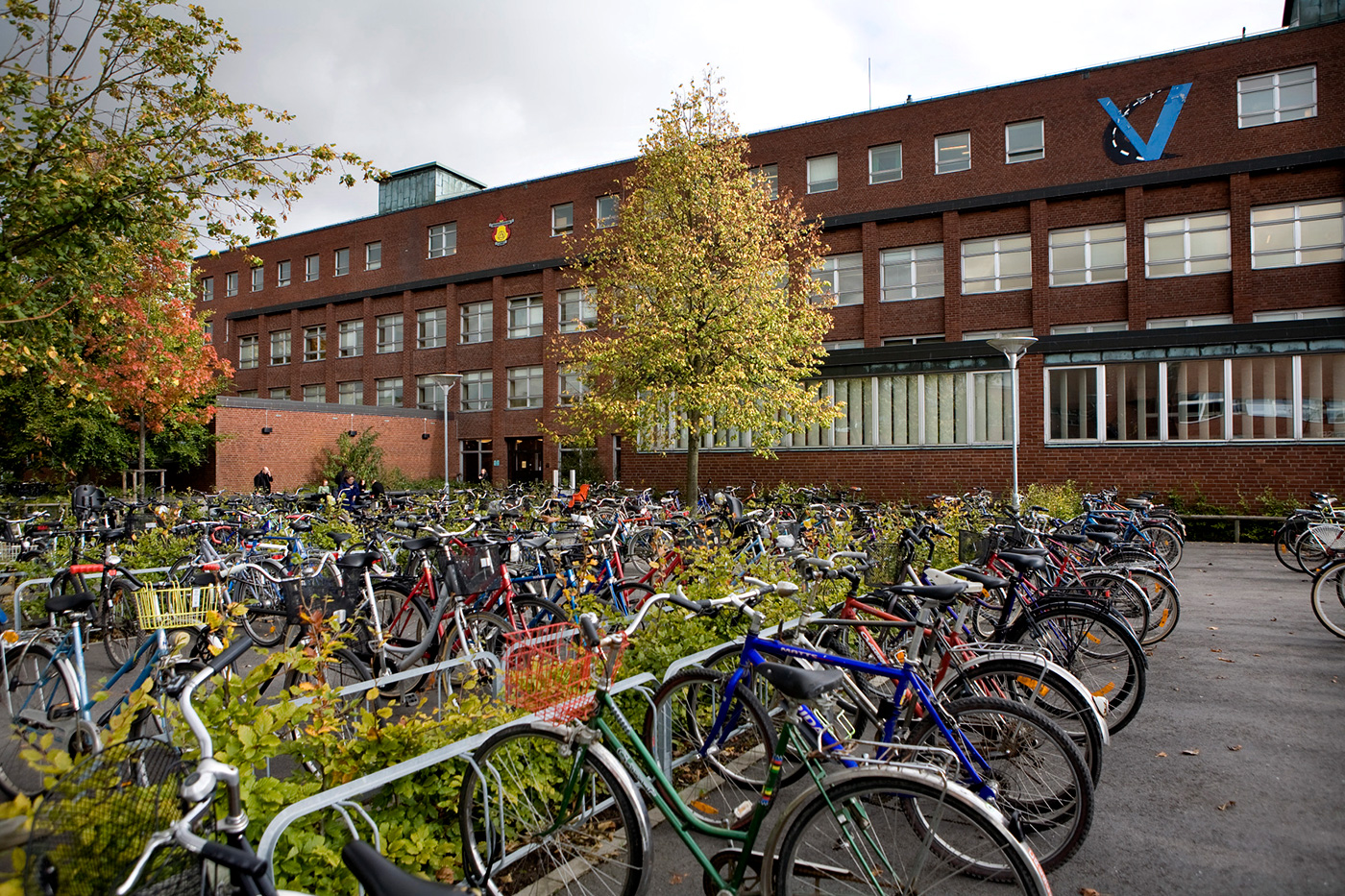 Bicycles in front of the V-building. Photo.